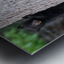 Baby Bear Metal print