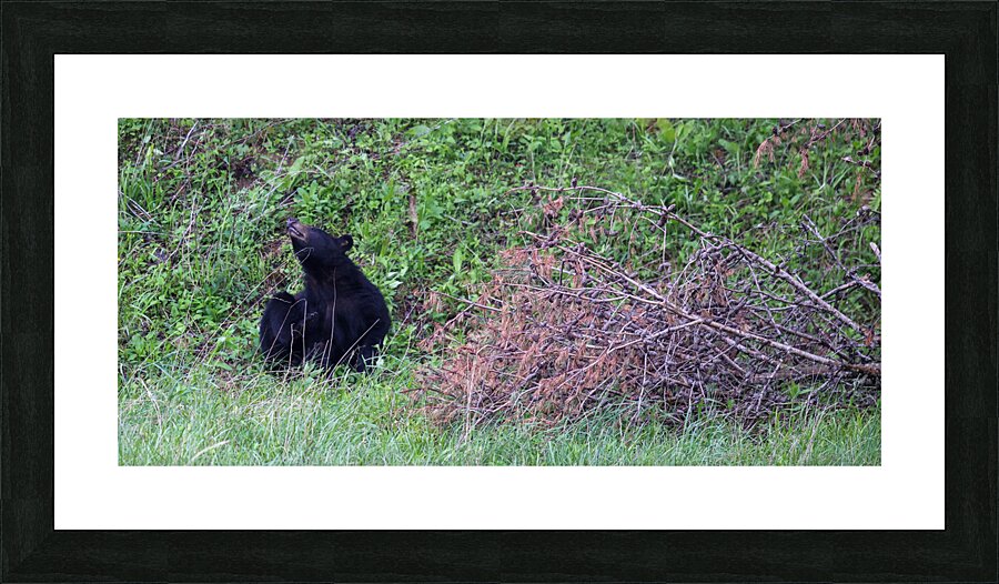 A Good Scratch Picture Frame print