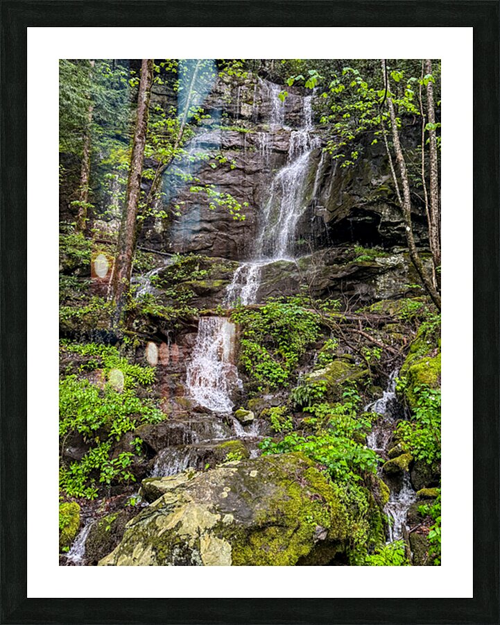 Natural Waterfall IV Picture Frame print