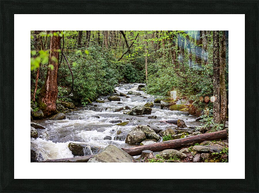 Mountain Stream Picture Frame print