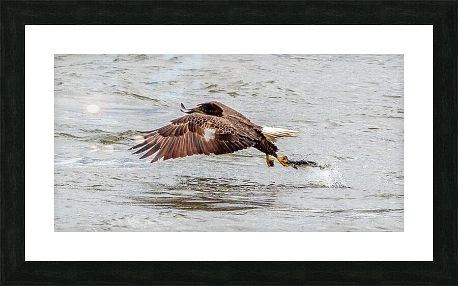 No Photos Please Picture Frame print