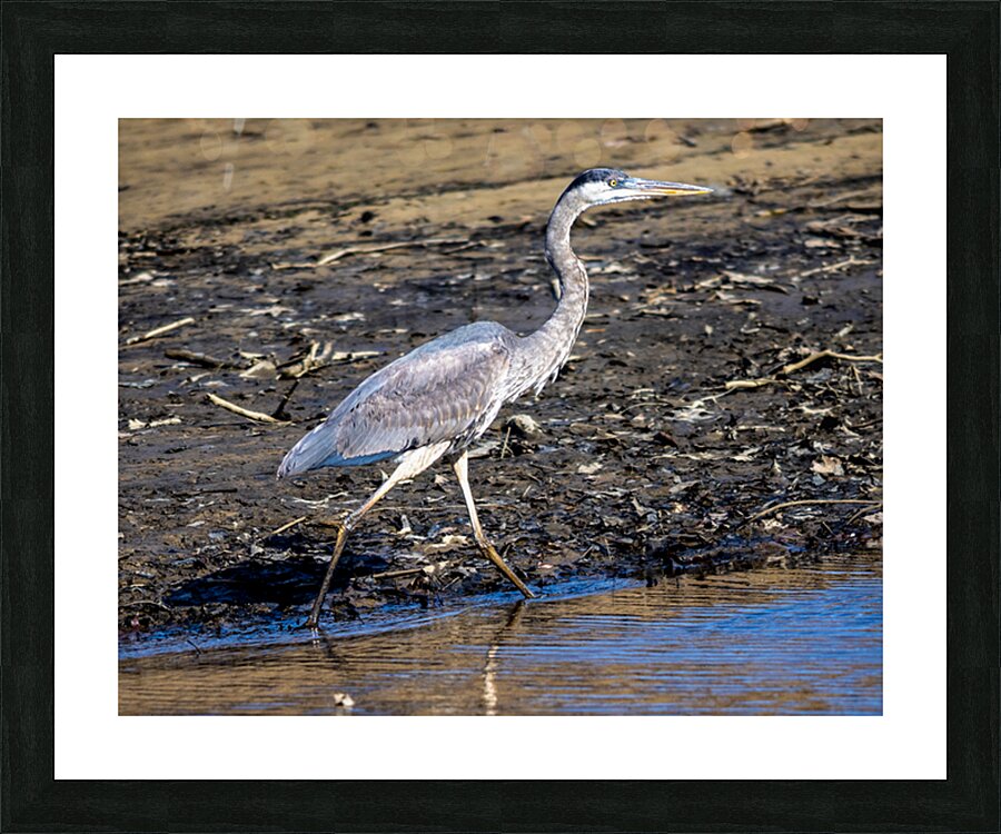 Walking with a Purpose Picture Frame print