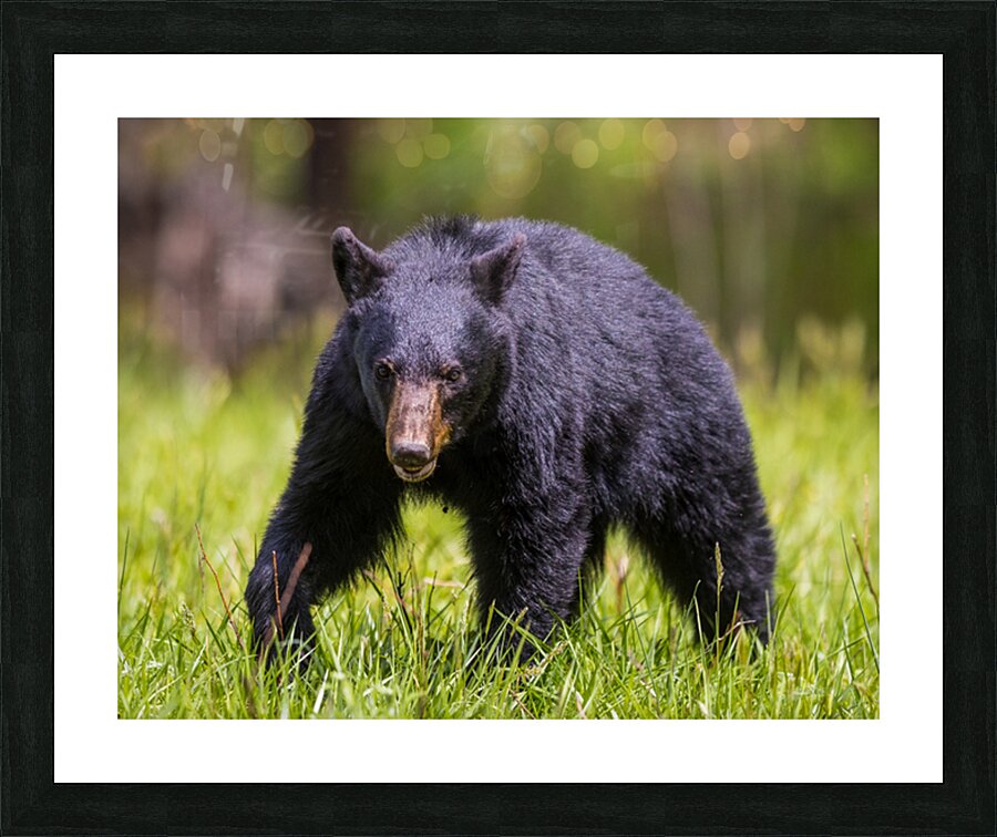 Intensity  Picture Frame print