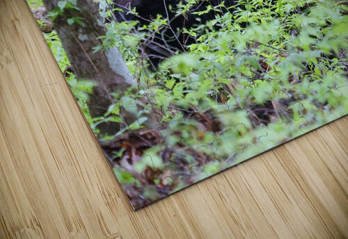 A Lazy Stroll Vividscope puzzle
