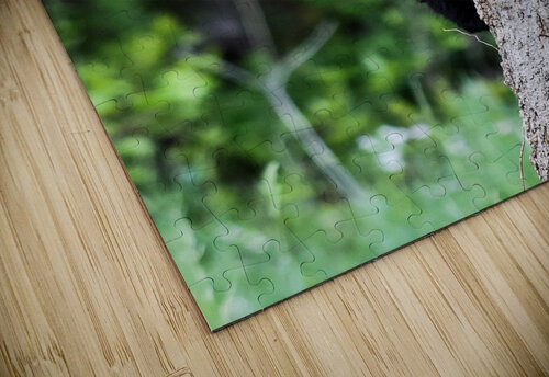 Up here mom Vividscope puzzle