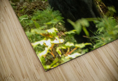 Backside Profile Vividscope puzzle