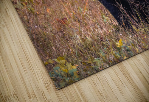Here s Looking at You Vividscope puzzle