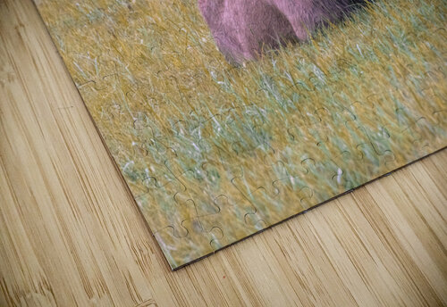 Resting Vividscope puzzle