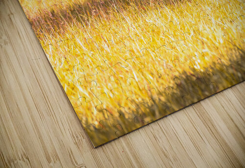 Sunlight Majesty Vividscope puzzle