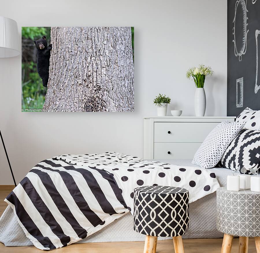 Baby Bear Reproduction