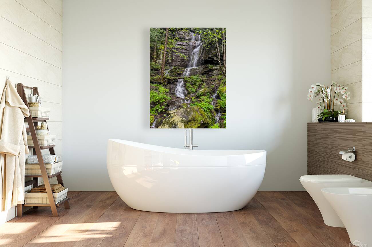 Natural Waterfall IV Reproduction