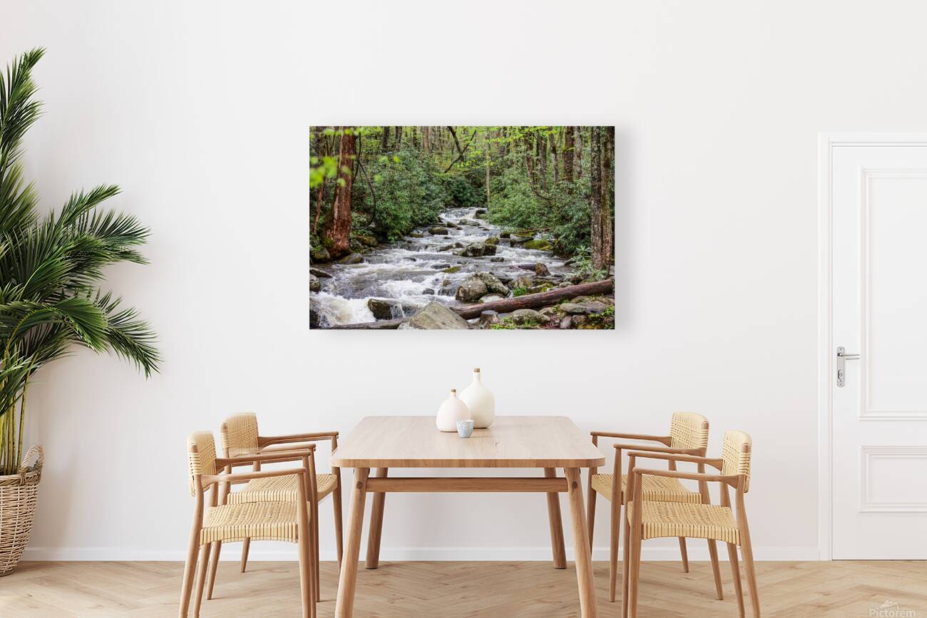 Mountain Stream Reproduction