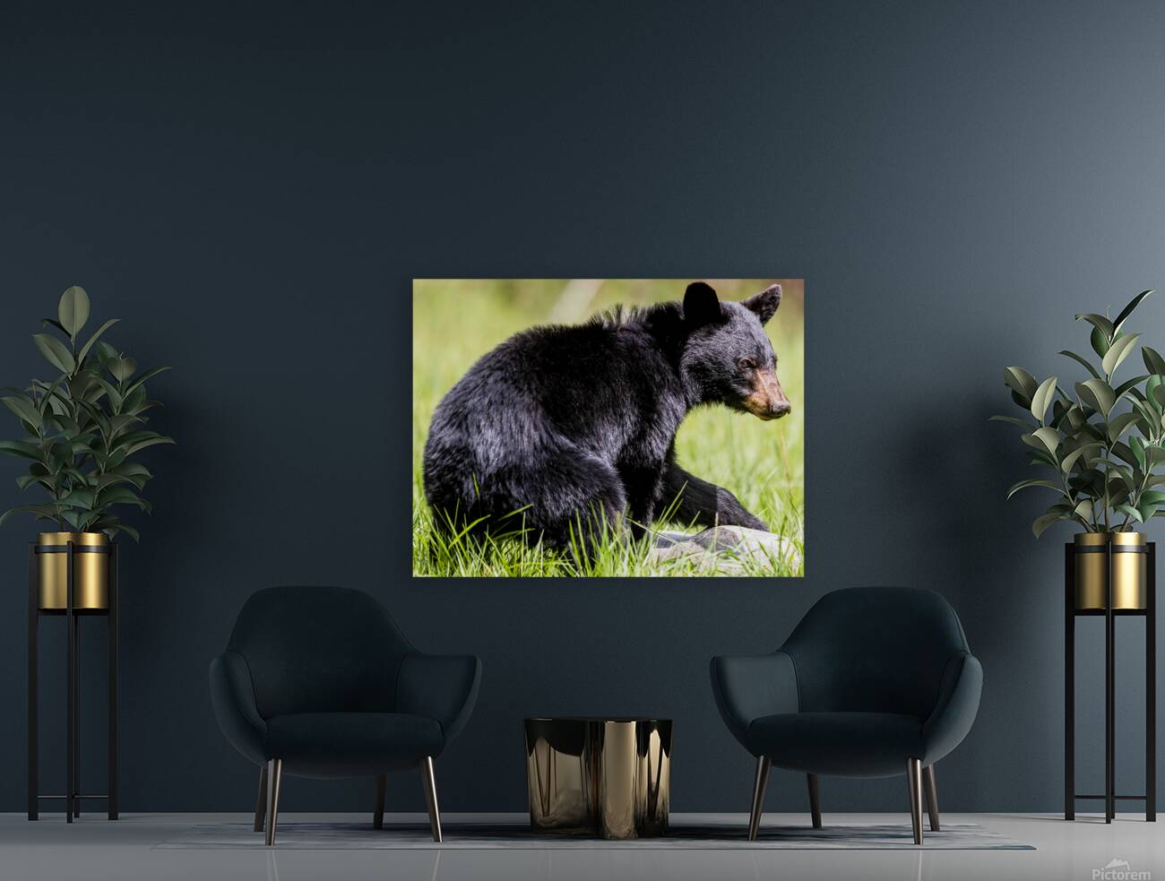 A Bear and his Rock Reproduction