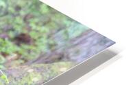 A Lazy Stroll HD Metal print
