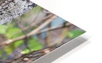 Hangin Out HD Metal print