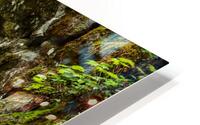 Natural Waterfall II HD Metal print