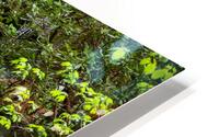 Natural Waterfall HD Metal print