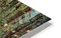 Mountain Stream HD Metal print
