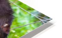 Reflecton  HD Metal print