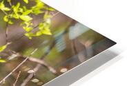 A Moment to Reflect HD Metal print