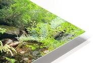 Mini Waterfall on Roaring Fork HD Metal print