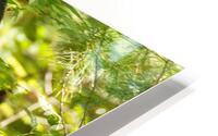 Backside Profile HD Metal print