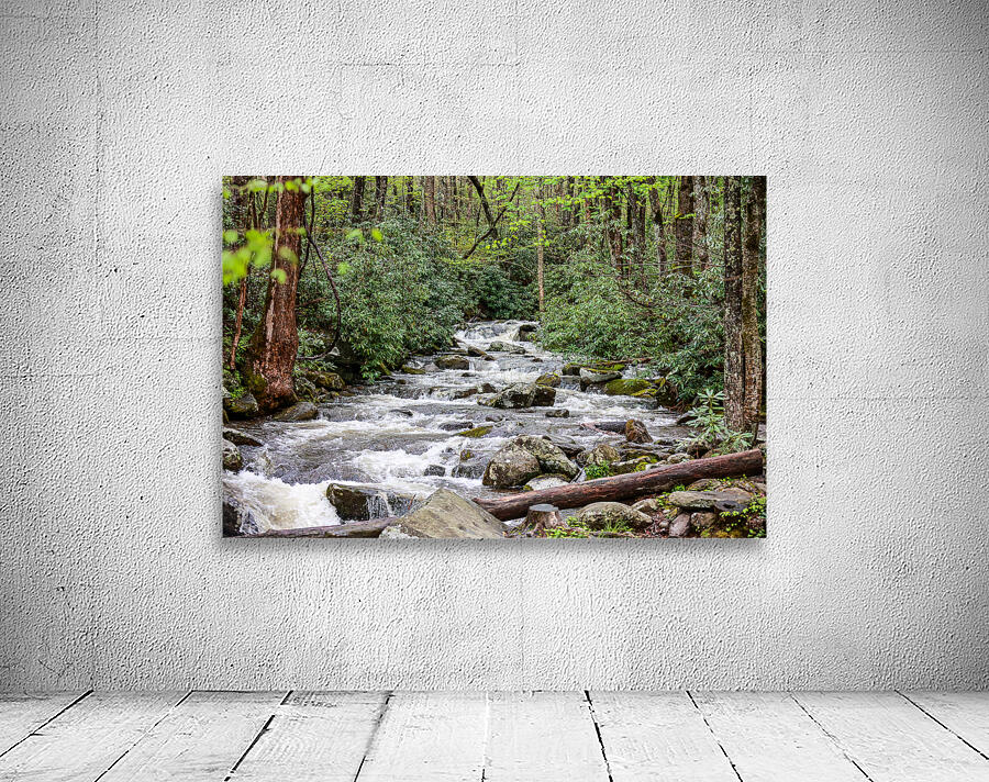 Mountain Stream Wall Preview