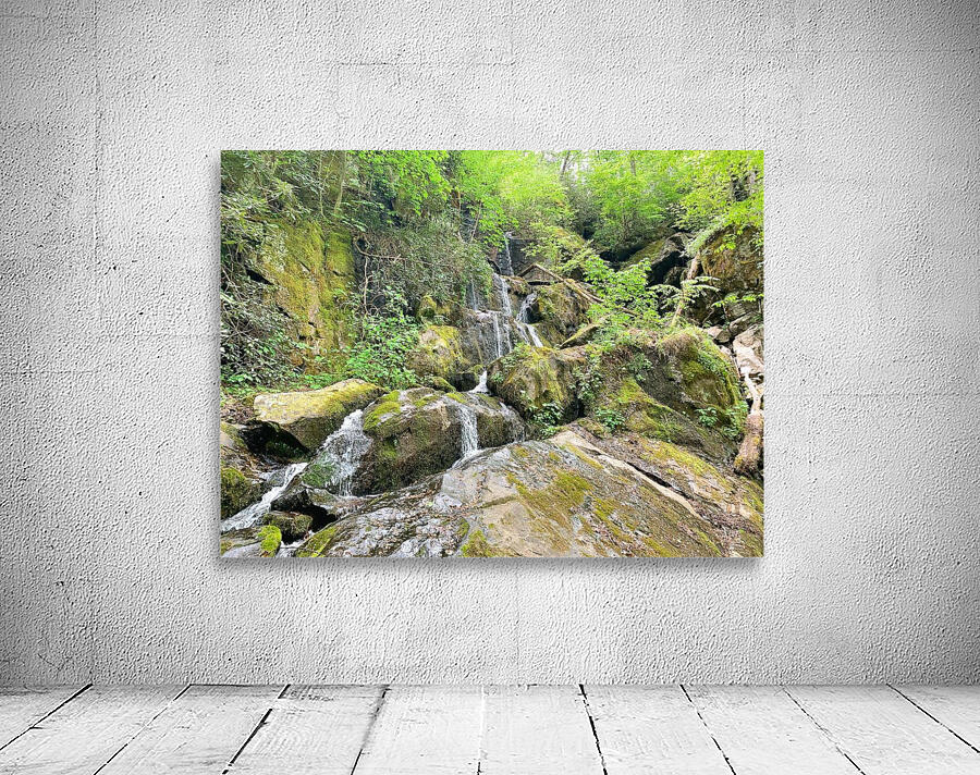 Mini Waterfall on Roaring Fork Wall Preview