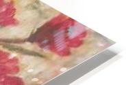poppies HD Metal print