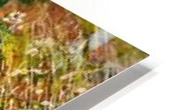 between parallel worlds HD Metal print