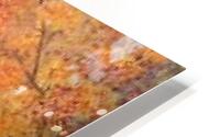 the autumn HD Metal print