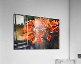 Fall Leaves Acrylic Print