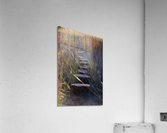 Pathway Acrylic Print
