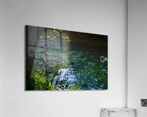 Early Summer Pond Acrylic Print