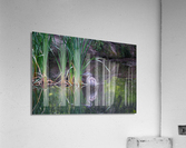 Blue Heron Acrylic Print