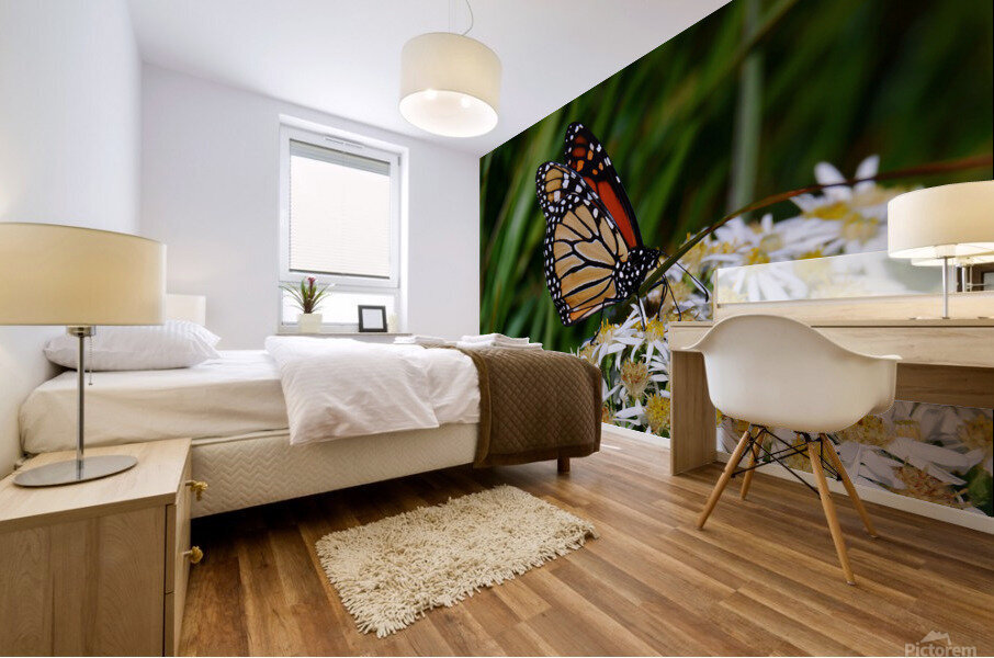 Butterfly Mural print