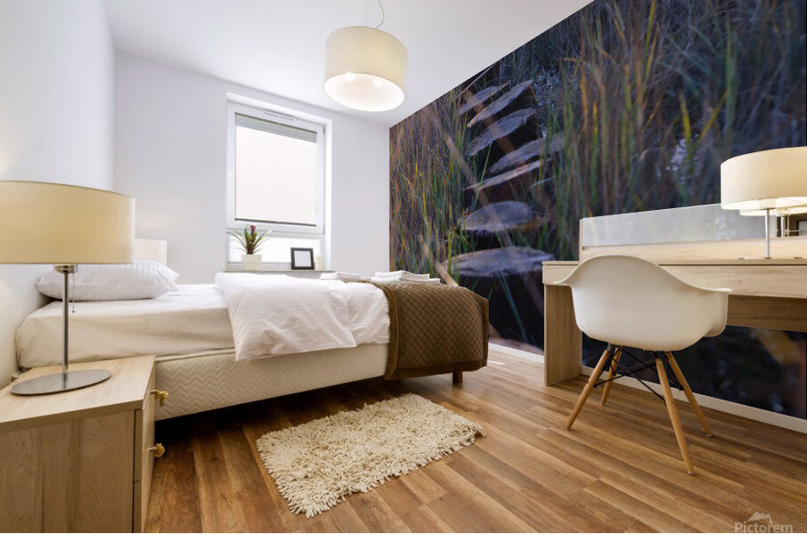 Pathway Mural print