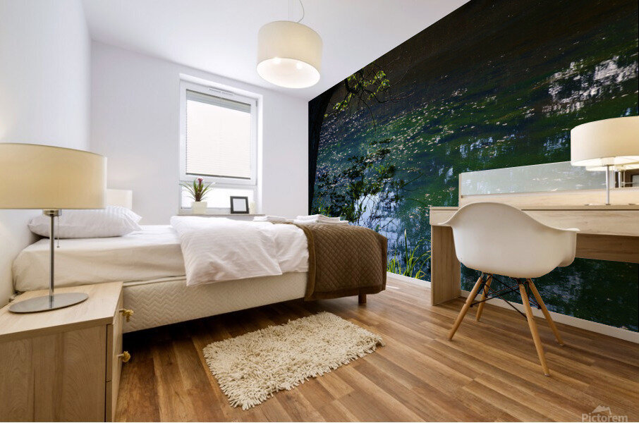 Early Summer Pond Mural print