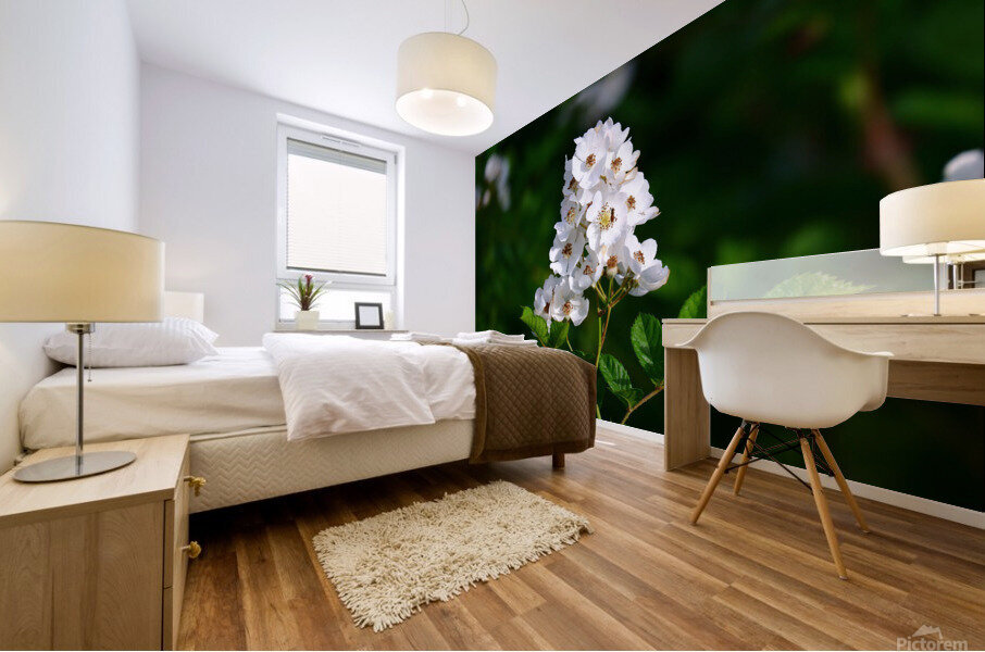 Foliage 2 Mural print
