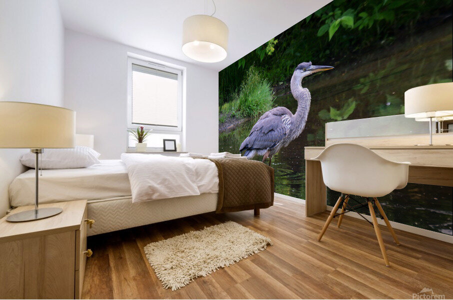 July Heron 1 Mural print