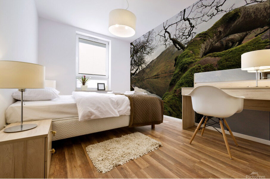 IRE 5 Mural print