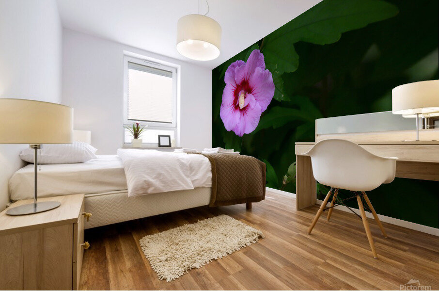 Softened Flower Mural print