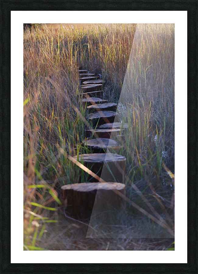 Pathway Picture Frame print