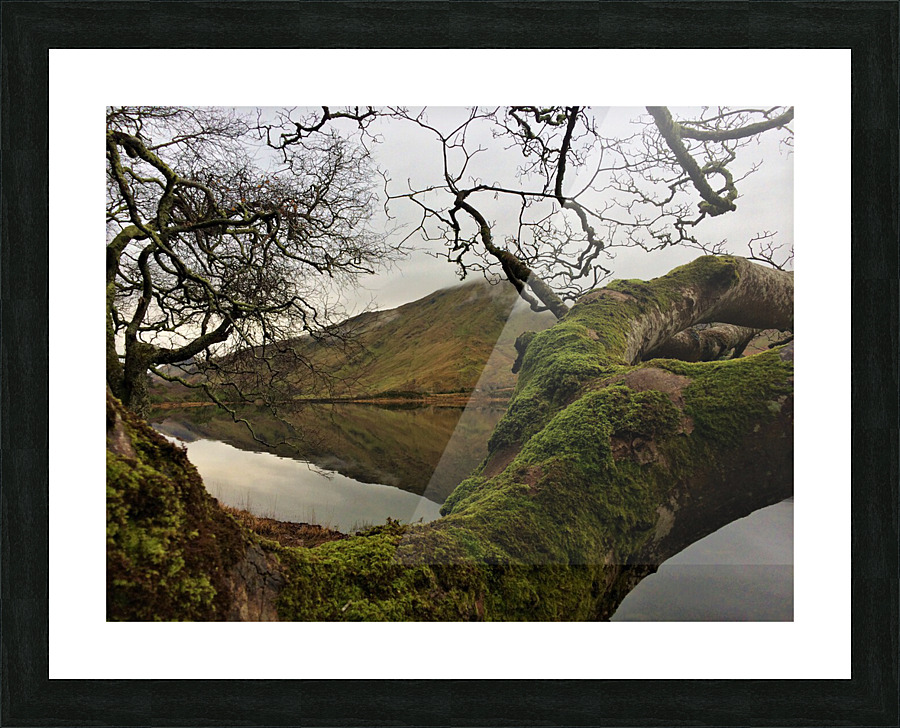 IRE 5 Picture Frame print