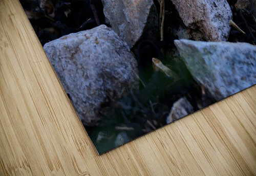 Stones 1 Peter Lindsey puzzle