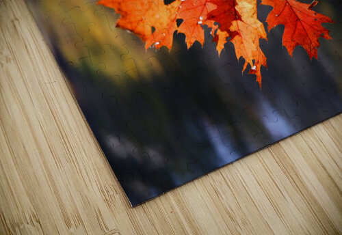 Fall Leaves Peter Lindsey puzzle