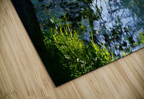 Early Summer Pond Peter Lindsey puzzle