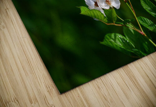 Foliage 2 Peter Lindsey puzzle