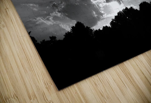 BW Evening Peter Lindsey puzzle