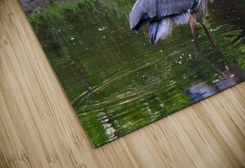 July Heron 1 Peter Lindsey puzzle